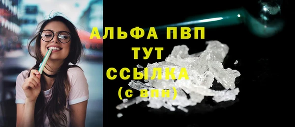 spice Верея