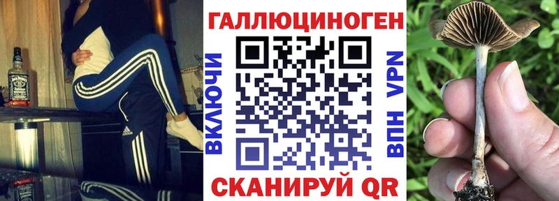 хочу Карабулак это состав Галлюциногенные грибы Psilocybe